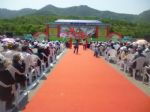 青島專業(yè)慶典禮儀策劃服務(wù) 點(diǎn)亮城市盛會，演繹品牌魅力